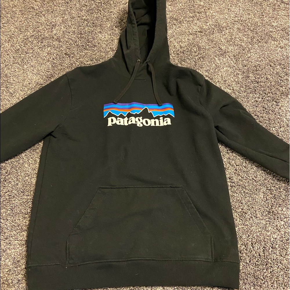 Patagonia Men’s Logo Hoodie